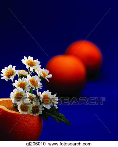 Stock Image - flower, flowerpot, still life, cutting flower, fancy goods, goods, fancy. Fotosearch
