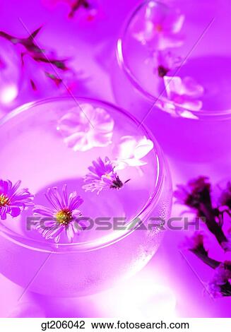 Stock Image - flower, glass, leaf, leaves, fancy goods, goods, fancy. Fotosearch