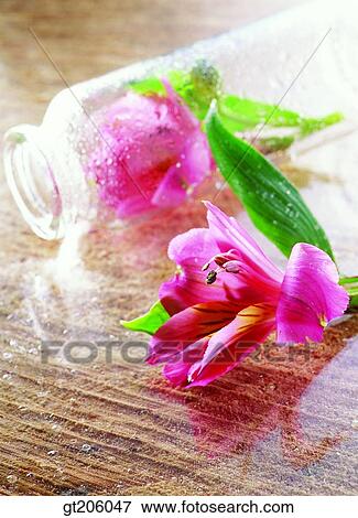 Stock Photo - flower, glass, leaf, leaves, fancy goods, goods, fancy. Fotosearch
