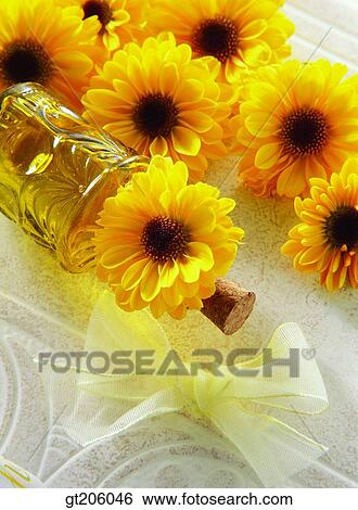 Stock Photograph - flower, glass, leaf, leaves, vase, ribbon. Fotosearch
