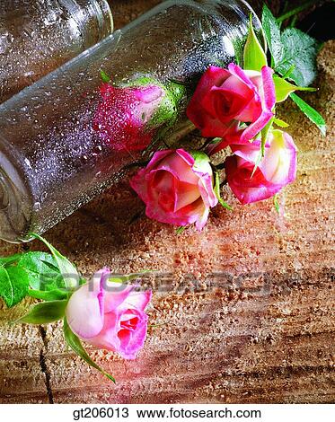 Stock Image - flower, glass, rose, fancy goods, goods, fancy, decoration. Fotosearch