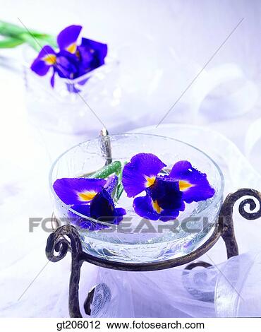 Stock Image - flower, glassware, glass bottle, iris, blue, flagflower, fancy goods. Fotosearch