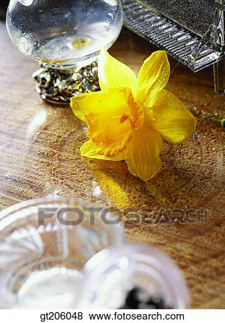 Stock Photo - flower, leaf, leaves, glass, fancy goods, goods, fancy. Fotosearch