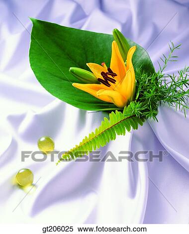 flower, lily, bead, cloths, cloth, fabric, fancy goods View Large Photo Image Stock Photography - flower, lily, bead, cloths, cloth, fabric, fancy goods. Fotosearch