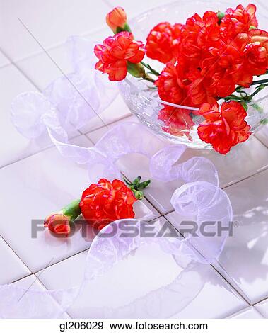 flower, ribbon, carnation, Carnation, cutting flower, fancy goods, goods View Large Photo Image Stock Photo - flower, ribbon, carnation, Carnation, cutting flower, fancy goods, goods. Fotosearch