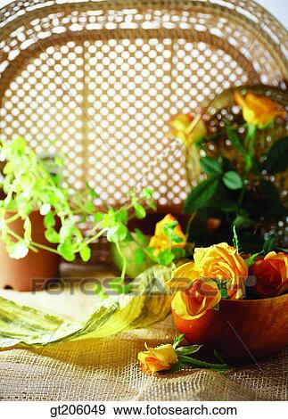 Stock Photo - flower, rose, flowerpot, fancy goods, goods, fancy, decoration. Fotosearch