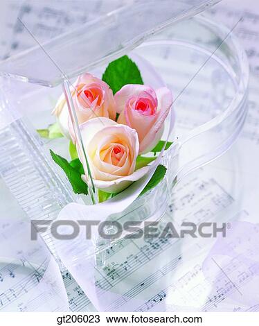 flower, rose, music, sheet music, fancy goods, goods, fancy View Large Photo Image Stock Image - flower, rose, music, sheet music, fancy goods, goods, fancy. Fotosearch