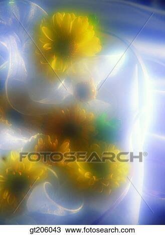 Stock Image - flower, still life, cloths, cloth, fabric, fancy goods, goods. Fotosearch