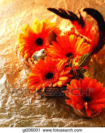 flower, still life, cutting flower, fancy goods, goods, fancy, decoration View Large Photo Image Stock Image - flower, still life, cutting flower, fancy goods, goods, fancy, decoration. Fotosearch