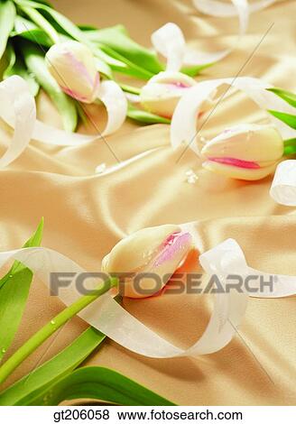 flower, tulip, tulips, ribbon, cloths, cloth, fabric View Large Photo Image Stock Photo - flower, tulip, tulips, ribbon, cloths, cloth, fabric. Fotosearch