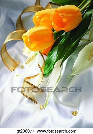 Stock Photo - flower, tulip, tulips, ribbon, cloths, cloth, fabric. Fotosearch