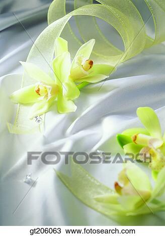 flower, Western orchid, bead, ribbon, cloths, cloth, fabric View Large Photo Image Stock Image - flower, Western orchid, bead, ribbon, cloths, cloth, fabric. Fotosearch