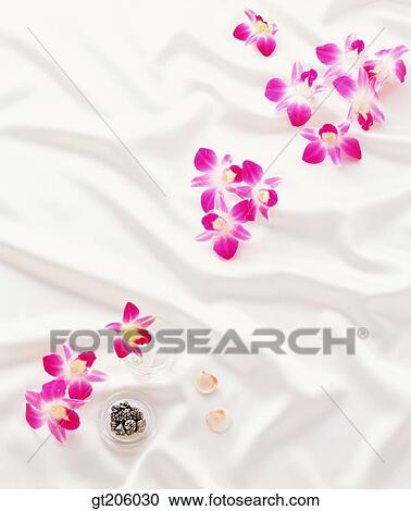 Stock Image - flower, Western orchid, cloths, cloth, fabric, bead, gem. Fotosearch