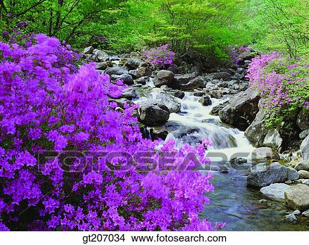 Picture - Korea, exterior, day, daytime, daylight, Chiri mountain, Chiri. Fotosearch