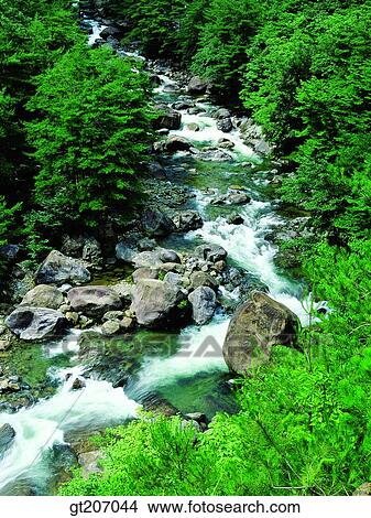 Picture - Korea, exterior, day, daytime, daylight, Chiri mountain, Chiri. Fotosearch