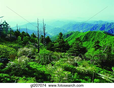 Korea, exterior, day, daytime, daylight, Chiri mountain, Chiri View Large Photo Image Picture - Korea, exterior, day, daytime, daylight, Chiri mountain, Chiri. Fotosearch