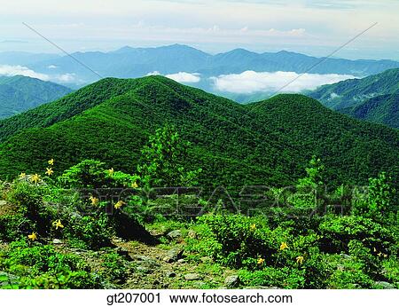 Stock Image - Korea, exterior, day, daytime, daylight, Chiri mountain, Chiri. Fotosearch