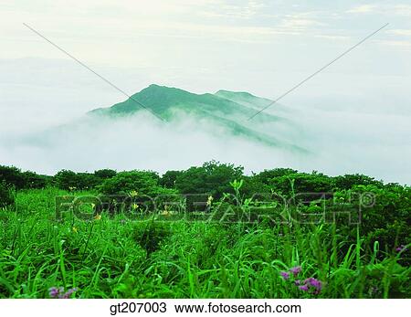 Korea, exterior, day, daytime, daylight, Chiri mountain, Chiri View Large Photo Image Stock Image - Korea, exterior, day, daytime, daylight, Chiri mountain, Chiri. Fotosearch