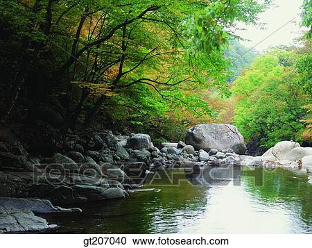 Stock Image - Korea, exterior, day, daytime, daylight, Chiri mountain, Chiri. Fotosearch