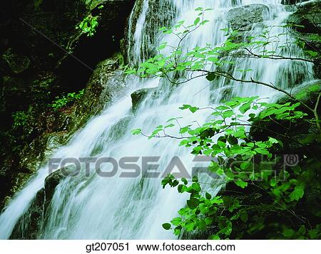 Stock Image - Korea, exterior, day, daytime, daylight, Chiri mountain, Chiri. Fotosearch