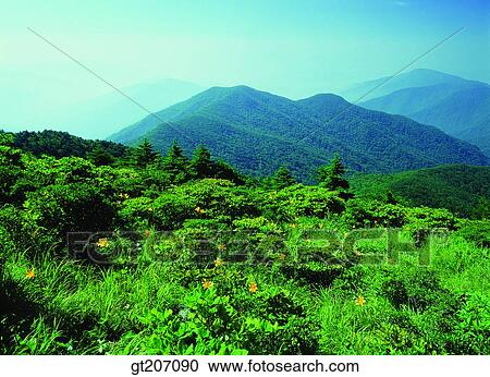 Korea, exterior, day, daytime, daylight, Chiri mountain, Chiri View Large Photo Image Stock Image - Korea, exterior, day, daytime, daylight, Chiri mountain, Chiri. Fotosearch