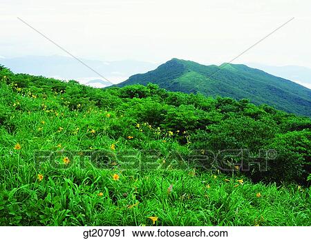 Korea, exterior, day, daytime, daylight, Chiri mountain, Chiri View Large Photo Image Stock Image - Korea, exterior, day, daytime, daylight, Chiri mountain, Chiri. Fotosearch
