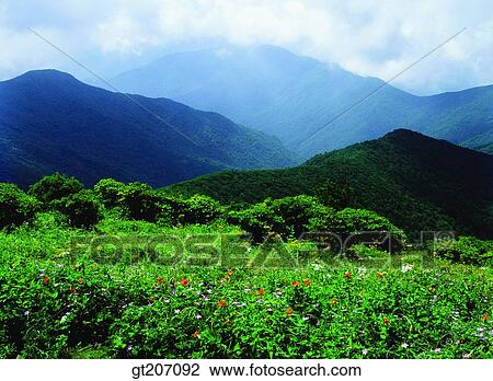 Korea, exterior, day, daytime, daylight, Chiri mountain, Chiri View Large Photo Image Stock Image - Korea, exterior, day, daytime, daylight, Chiri mountain, Chiri. Fotosearch