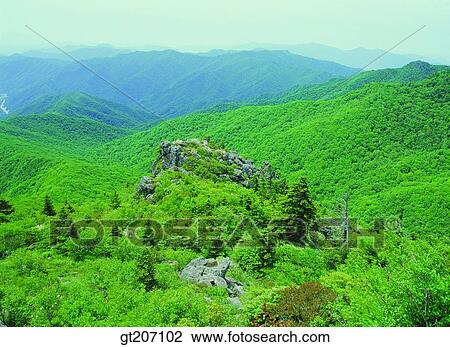 Korea, exterior, day, daytime, daylight, Chiri mountain, Chiri View Large Photo Image Stock Image - Korea, exterior, day, daytime, daylight, Chiri mountain, Chiri. Fotosearch