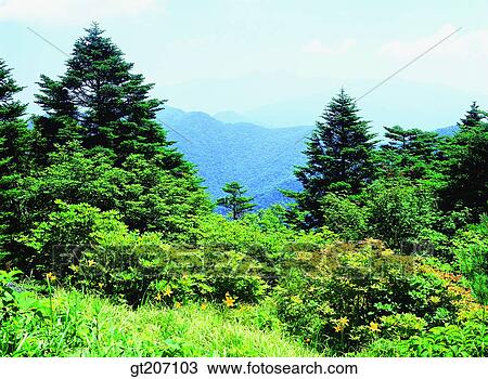 Korea, exterior, day, daytime, daylight, Chiri mountain, Chiri View Large Photo Image Stock Image - Korea, exterior, day, daytime, daylight, Chiri mountain, Chiri. Fotosearch