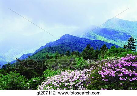 Korea, exterior, day, daytime, daylight, Chiri mountain, Chiri View Large Photo Image Stock Image - Korea, exterior, day, daytime, daylight, Chiri mountain, Chiri. Fotosearch