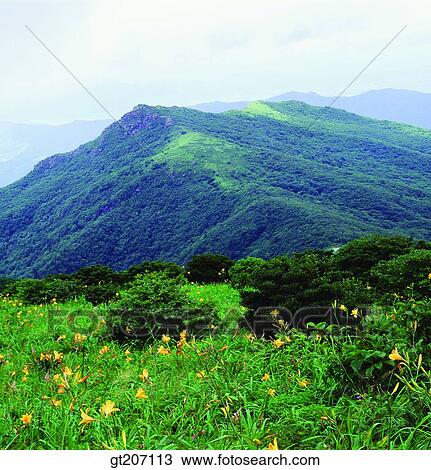 Korea, exterior, day, daytime, daylight, Chiri mountain, Chiri View Large Photo Image Stock Image - Korea, exterior, day, daytime, daylight, Chiri mountain, Chiri. Fotosearch