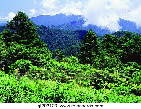 Korea, exterior, day, daytime, daylight, Chiri mountain, Chiri View Large Photo Image Stock Image - Korea, exterior, day, daytime, daylight, Chiri mountain, Chiri. Fotosearch