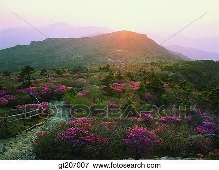 Korea, exterior, day, daytime, daylight, Chiri mountain, Chiri View Large Photo Image Stock Photo - Korea, exterior, day, daytime, daylight, Chiri mountain, Chiri. Fotosearch