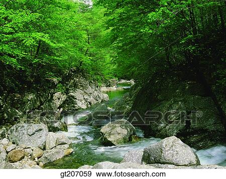 Korea, exterior, day, daytime, daylight, Chiri mountain, Chiri View Large Photo Image Stock Photo - Korea, exterior, day, daytime, daylight, Chiri mountain, Chiri. Fotosearch