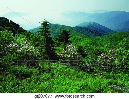 Korea, exterior, day, daytime, daylight, Chiri mountain, Chiri View Large Photo Image Stock Photo - Korea, exterior, day, daytime, daylight, Chiri mountain, Chiri. Fotosearch