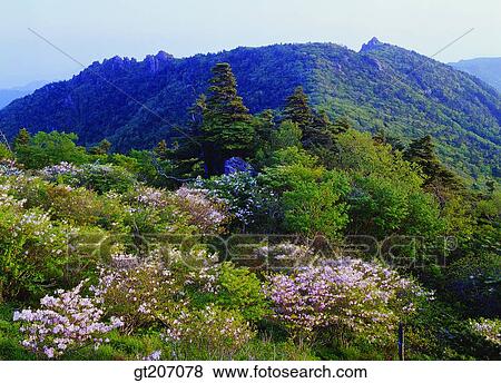 Korea, exterior, day, daytime, daylight, Chiri mountain, Chiri View Large Photo Image Stock Photo - Korea, exterior, day, daytime, daylight, Chiri mountain, Chiri. Fotosearch