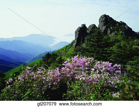 Korea, exterior, day, daytime, daylight, Chiri mountain, Chiri View Large Photo Image Stock Photo - Korea, exterior, day, daytime, daylight, Chiri mountain, Chiri. Fotosearch