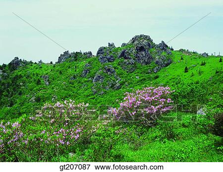 Korea, exterior, day, daytime, daylight, Chiri mountain, Chiri View Large Photo Image Stock Photo - Korea, exterior, day, daytime, daylight, Chiri mountain, Chiri. Fotosearch