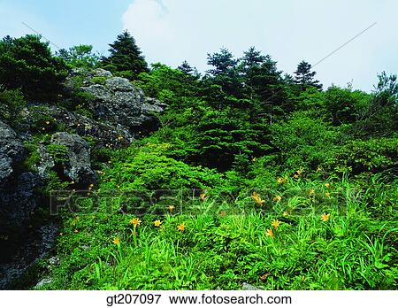 Korea, exterior, day, daytime, daylight, Chiri mountain, Chiri View Large Photo Image Stock Photo - Korea, exterior, day, daytime, daylight, Chiri mountain, Chiri. Fotosearch