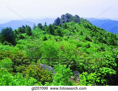 Korea, exterior, day, daytime, daylight, Chiri mountain, Chiri View Large Photo Image Stock Photo - Korea, exterior, day, daytime, daylight, Chiri mountain, Chiri. Fotosearch