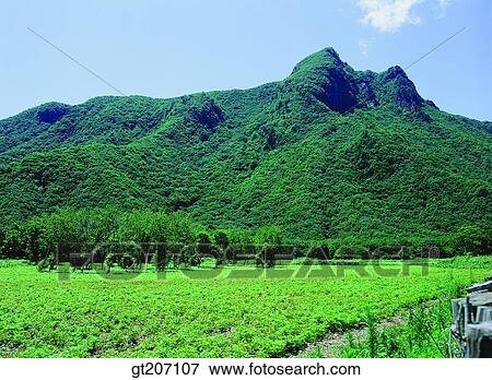 Stock Photo - Korea, exterior, day, daytime, daylight, Chiri mountain, Chiri. Fotosearch