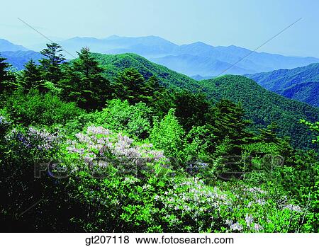 Korea, exterior, day, daytime, daylight, Chiri mountain, Chiri View Large Photo Image Stock Photo - Korea, exterior, day, daytime, daylight, Chiri mountain, Chiri. Fotosearch