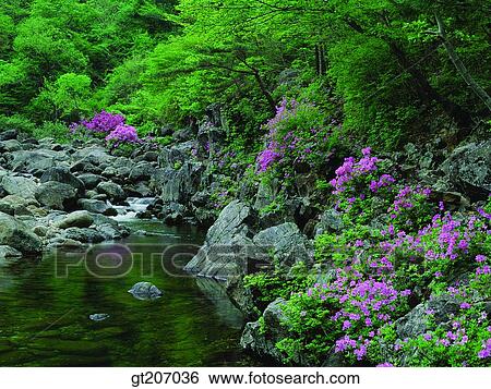 Korea, exterior, day, daytime, daylight, Chiri mountain, Chiri View Large Photo Image Stock Photograph - Korea, exterior, day, daytime, daylight, Chiri mountain, Chiri. Fotosearch