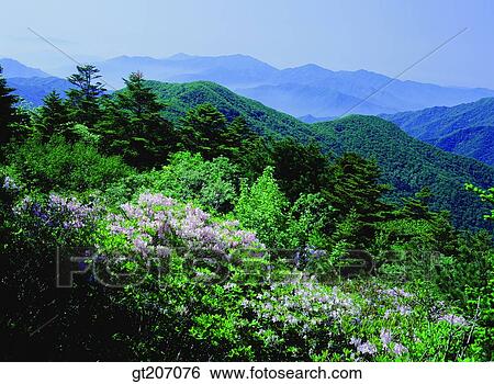Korea, exterior, day, daytime, daylight, Chiri mountain, Chiri View Large Photo Image Stock Photograph - Korea, exterior, day, daytime, daylight, Chiri mountain, Chiri. Fotosearch