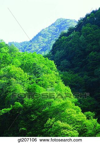 Korea, exterior, day, daytime, daylight, Chiri mountain, Chiri View Large Photo Image Stock Photograph - Korea, exterior, day, daytime, daylight, Chiri mountain, Chiri. Fotosearch
