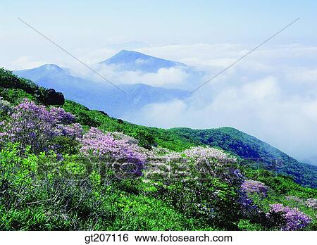 Stock Photograph - Korea, exterior, day, daytime, daylight, Chiri mountain, Chiri. Fotosearch