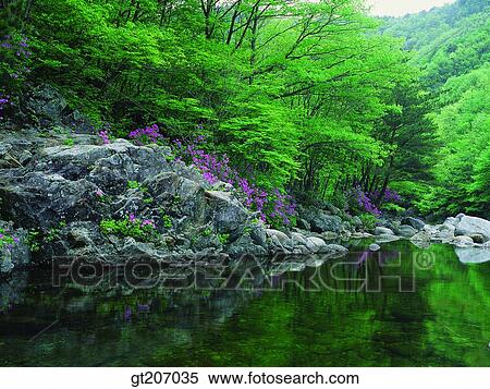 Stock Photography - Korea, exterior, day, daytime, daylight, Chiri mountain, Chiri. Fotosearch