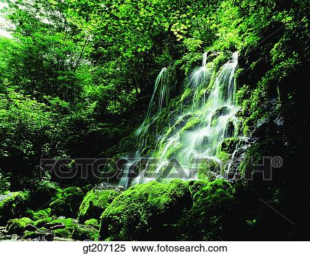 Stock Photography - Korea, exterior, day, daytime, daylight, Chiri mountain, Chiri. Fotosearch
