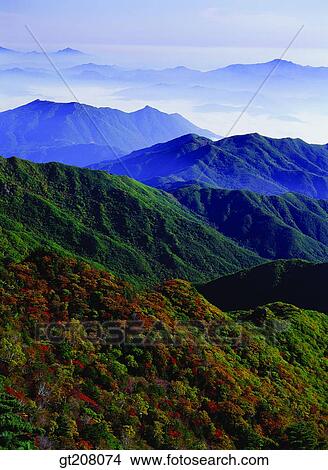 韓国 自然 風景 景色 現場 Jiri 山 Jiri ピクチャー Gt8074 Fotosearch