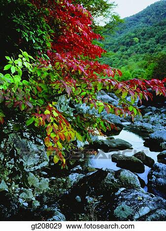韓国 自然 風景 景色 現場 Jiri 山 Jiri 写真館 イメージ館 Gt8029 Fotosearch